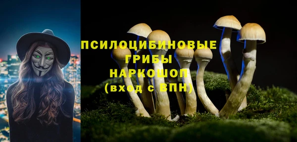 винт Бронницы