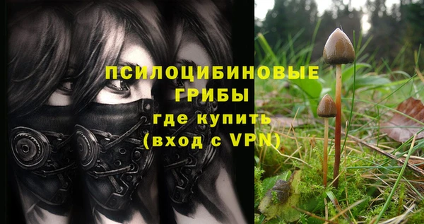 амф Бугульма