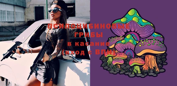 соль курить ск Бородино