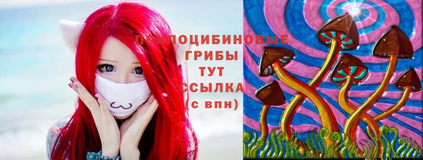 амф Бугульма