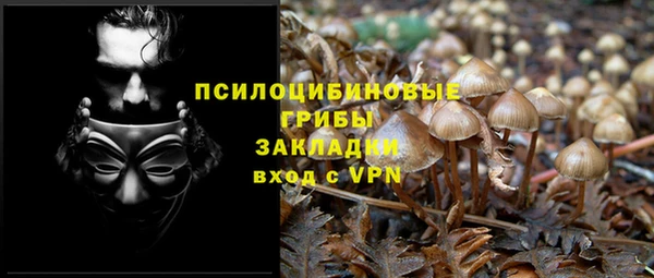 соль курить ск Бородино